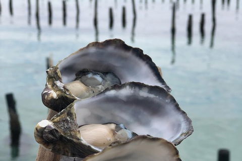 Coffin Bay Oysters, Ocean & Nature Tour - Queensland Tourism 6