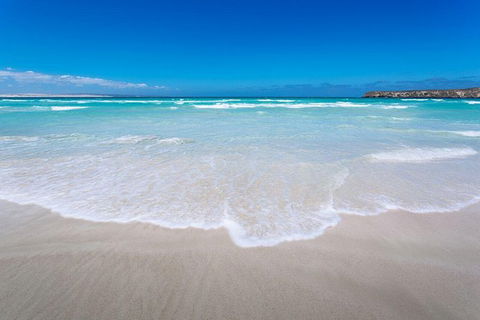 Coffin Bay Oysters, Ocean & Nature Tour - Queensland Tourism 14