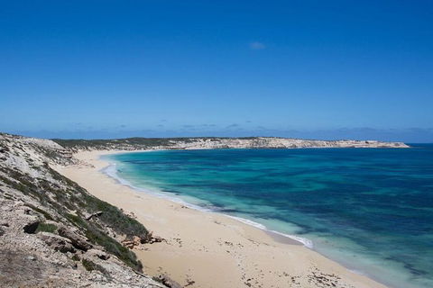 Coffin Bay Oysters, Ocean & Nature Tour - Queensland Tourism 16