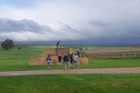 Private Wine Tour - QLD Tourism 4