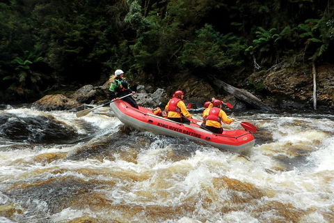 King River Whitewater Rafting Trip Including The Westcoast Wilderness Railway - QLD Tourism 3