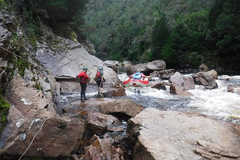 King River Whitewater Rafting Trip Including The Westcoast Wilderness Railway - QLD Tourism 2