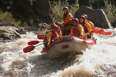 King River Whitewater Rafting Trip Including The Westcoast Wilderness Railway - QLD Tourism 5