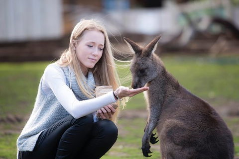 Cruise Ship Special From Hobart: Richmond And Bonorong Wildlife Park Shuttle - QLD Tourism 4