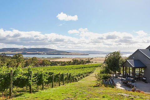 Launceston Wine & Sightseeing Tours - Queensland Tourism 0