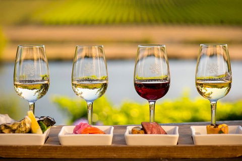 Launceston Wine & Sightseeing Tours - Queensland Tourism 4