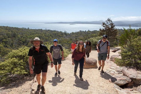 Half-Day Tour To Wineglass Bay From Launceston With Guide - QLD Tourism 4