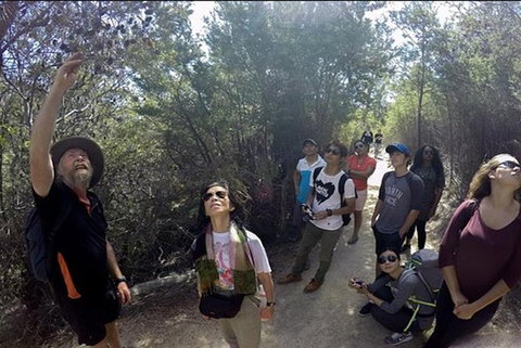 Half-Day Tour To Wineglass Bay From Launceston With Guide - QLD Tourism 1