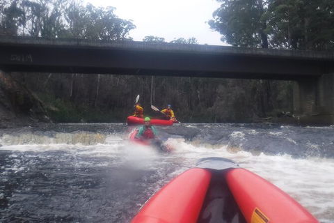 Twin Rivers Winter Adventure - QLD Tourism 4