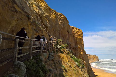 Private Express Experience - 12 Apostles - QLD Tourism 15