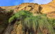 Private Express Experience - 12 Apostles - thumb 12