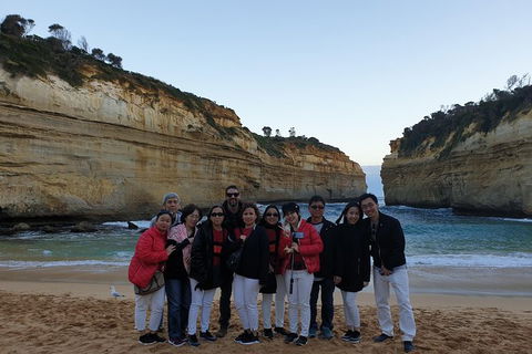 Private Express Experience - 12 Apostles - QLD Tourism 24