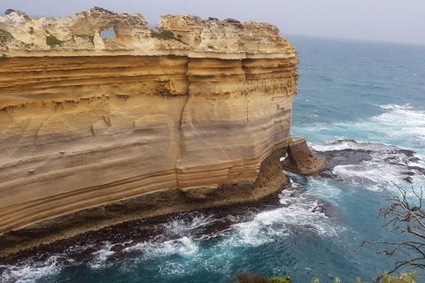 Private Express Experience - 12 Apostles - QLD Tourism 22