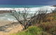 3-Day Melbourne To Adelaide Tour Including The Great Ocean Road - thumb 9