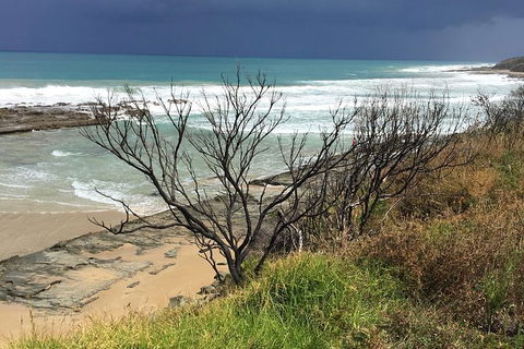 3-Day Melbourne To Adelaide Tour Including The Great Ocean Road - QLD Tourism 9