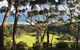 3-Day Melbourne To Adelaide Tour Including The Great Ocean Road - thumb 4