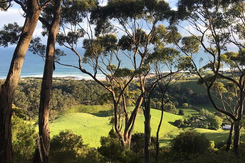 3-Day Melbourne To Adelaide Tour Including The Great Ocean Road - QLD Tourism 4