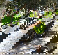 Yarra Valley Segway Tour - Queensland Tourism