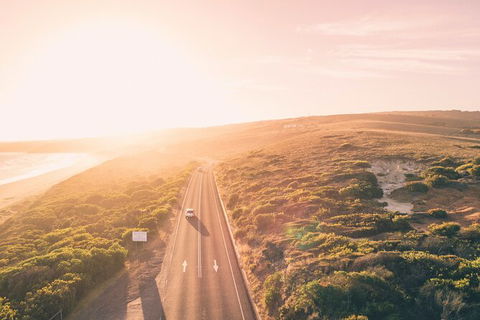 LGBT+ Friendly 2 Day Private Great Ocean Road Tour - QLD Tourism 1