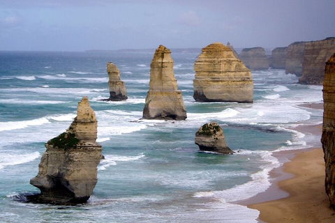 LGBT+ Friendly 2 Day Private Tour Great Ocean Road + Phillip Island - QLD Tourism 0