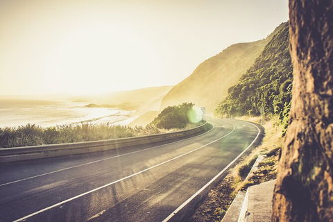 LGBT+ Friendly 2 Day Private Tour Great Ocean Road + Phillip Island - QLD Tourism 3