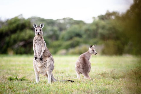 LGBT+ Friendly 3 Day Tour The Grampians, Daylesford & Ballarat - QLD Tourism 2