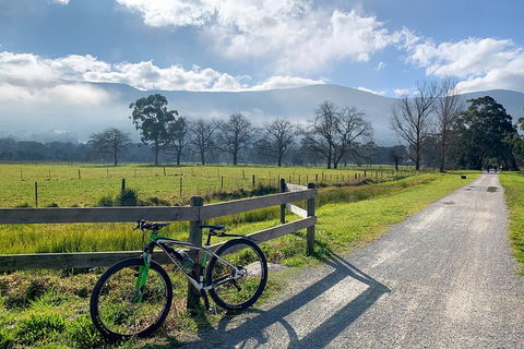 Aqueduct And Rail Trail Self-Guided Bike Tour In Warburton - Queensland Tourism 5