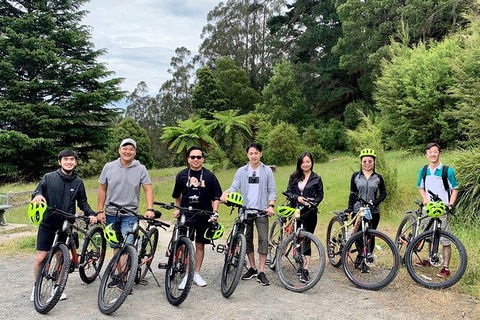 Aqueduct And Rail Trail Self-Guided Bike Tour In Warburton - Queensland Tourism 0