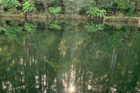 Hiking Tour To Aqueduct And Warburton Valley Lookout - Queensland Tourism 2