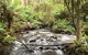 Private Aqueduct To California Redwoods Hiking Tour - thumb 3