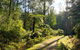Private Aqueduct To California Redwoods Hiking Tour - thumb 0