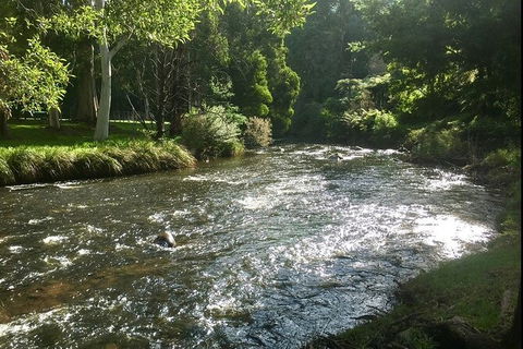 Watertube Experience In Yarra River - Queensland Tourism 3