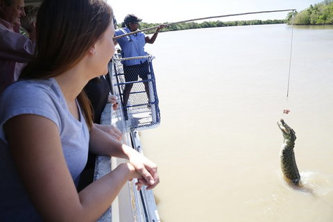 Darwin City Sights And Jumping Crocodile Cruise - QLD Tourism 0