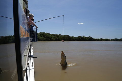 Darwin City Sights And Jumping Crocodile Cruise - QLD Tourism 2