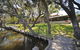 Cruise + A Winery Or Brewery Scenic Tour - thumb 6