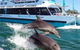 Cruise + A Winery Or Brewery Scenic Tour - thumb 4