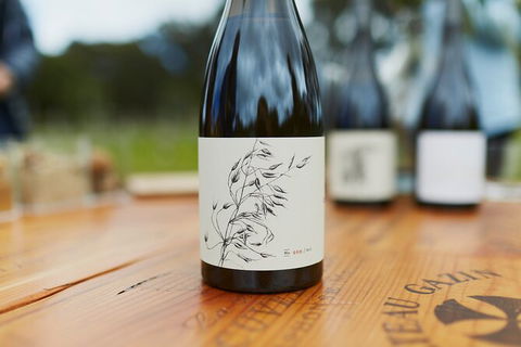 Organic Vineyard/Farm Tour - QLD Tourism 8