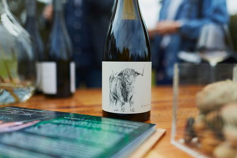 Organic Vineyard/Farm Tour - QLD Tourism 5