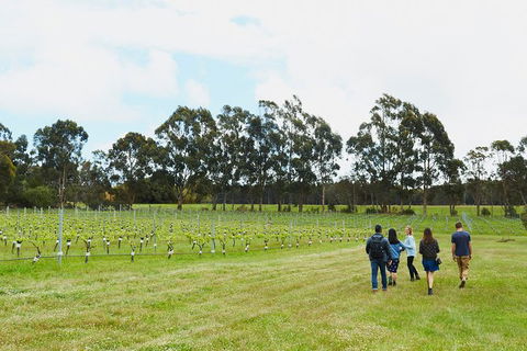 Organic Vineyard/Farm Tour - QLD Tourism 7