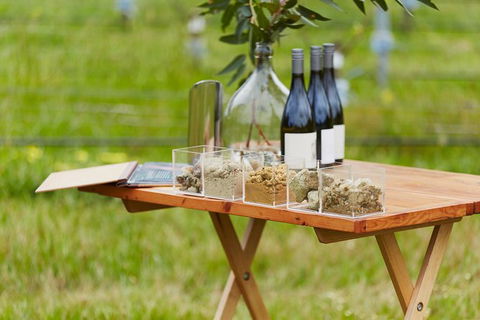 Organic Vineyard/Farm Tour - QLD Tourism 3