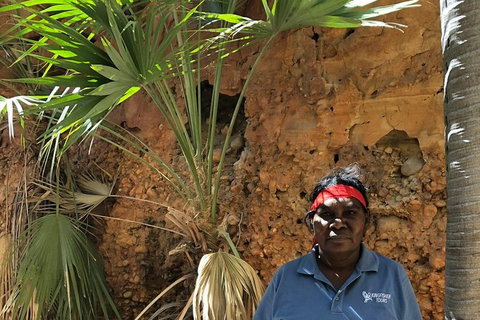 2 Nights At Bungles Wilderness Lodge - Explore The Northern & Southern Gorge - QLD Tourism 1