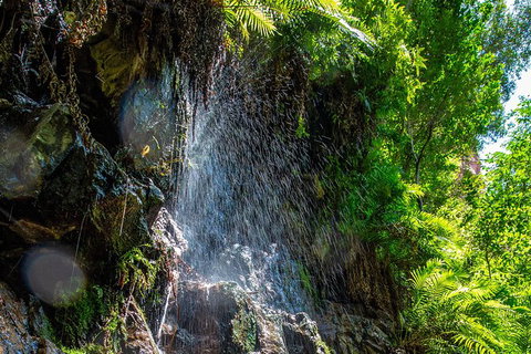 Secret Locations Tour - QLD Tourism 6