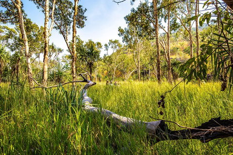 Secret Locations Tour - QLD Tourism 4