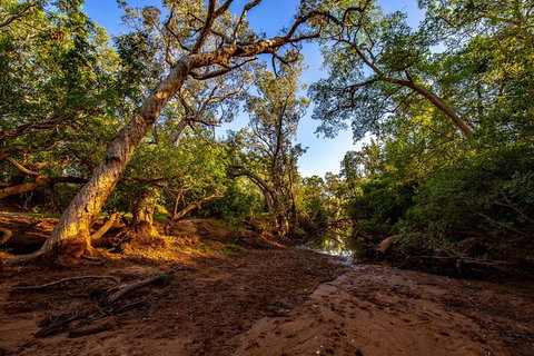Secret Locations Tour - QLD Tourism 7