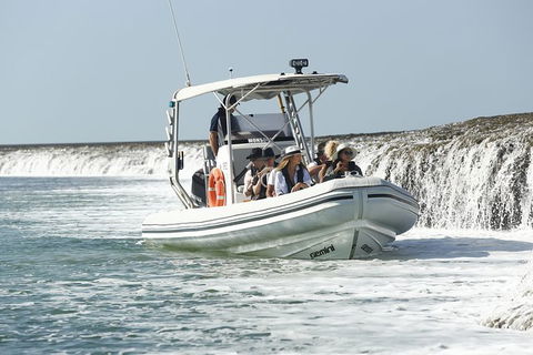 Cygnet Bay Explorer - Queensland Tourism 8