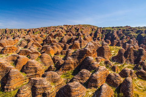 Bungle Bungle Explorer - Queensland Tourism 1