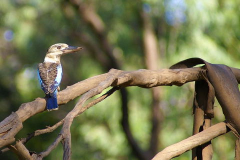 Ord River Experience With Riverside Lunch - Queensland Tourism 1