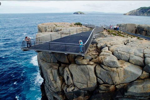 The Gap & Natural Wonders Guided Tour - QLD Tourism 5