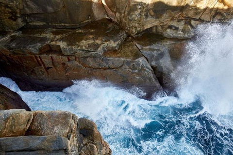 The Gap & Natural Wonders Guided Tour - QLD Tourism 4