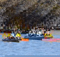 Private Guided River Kayak Tour - QLD Tourism